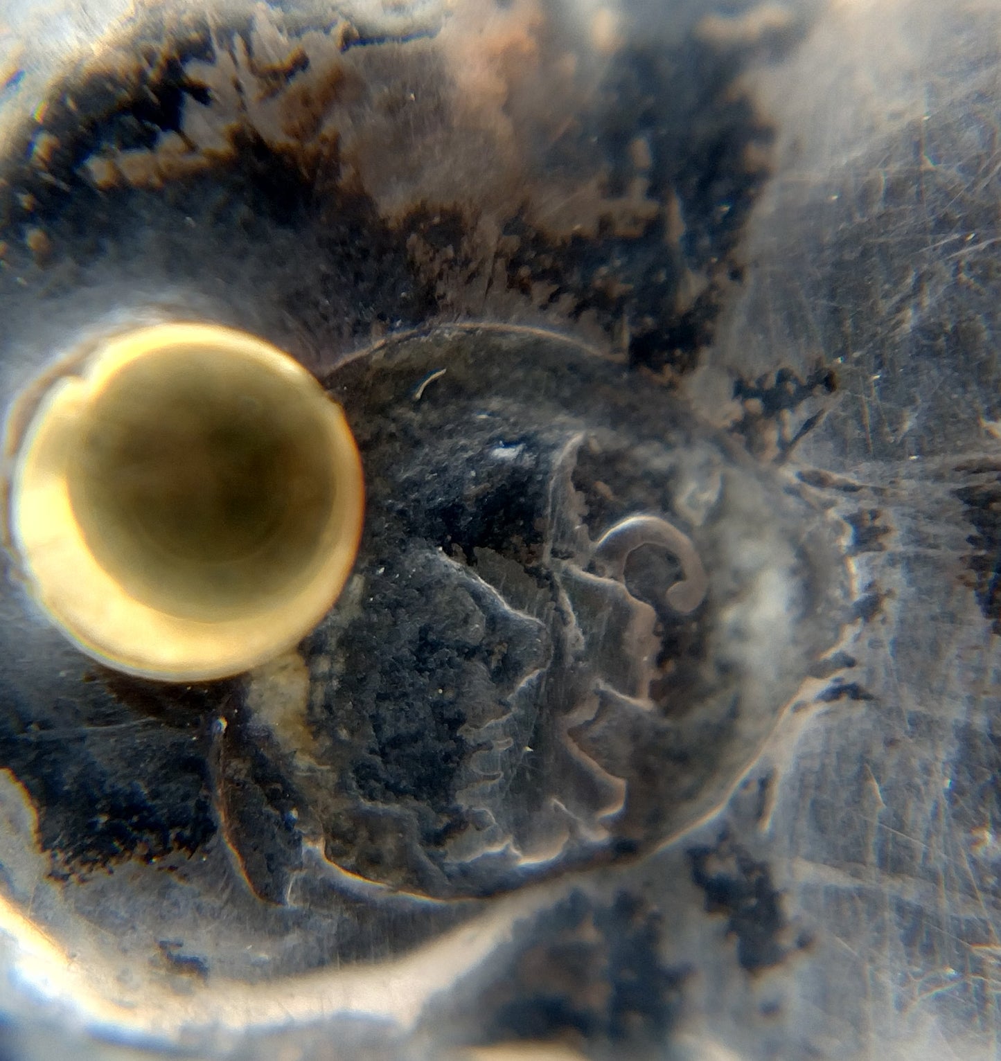 Bijbel met zilveren sloten, 1853