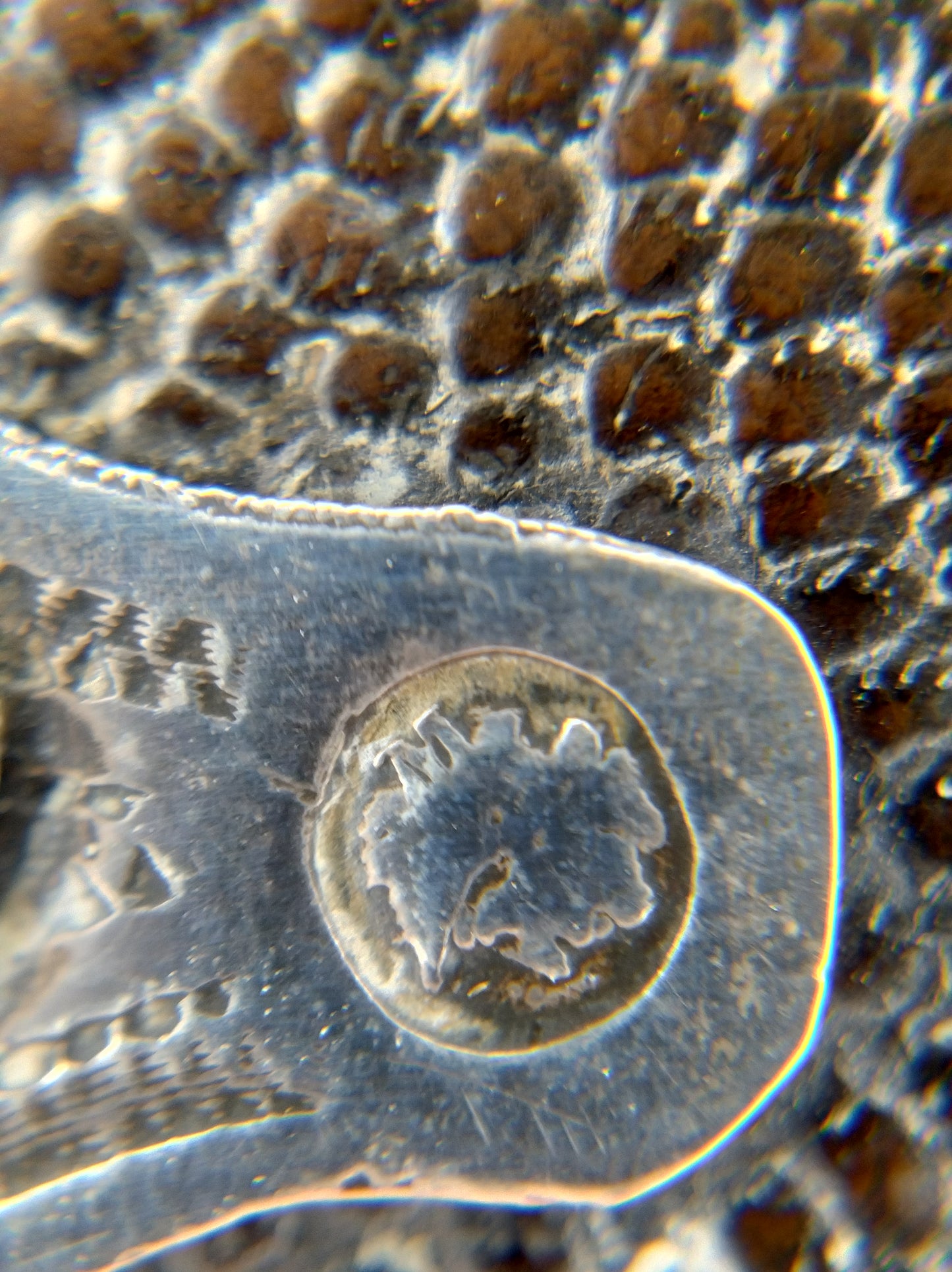 Bijbel met zilveren sloten, J. Kooiman, Schoonhoven, 1874