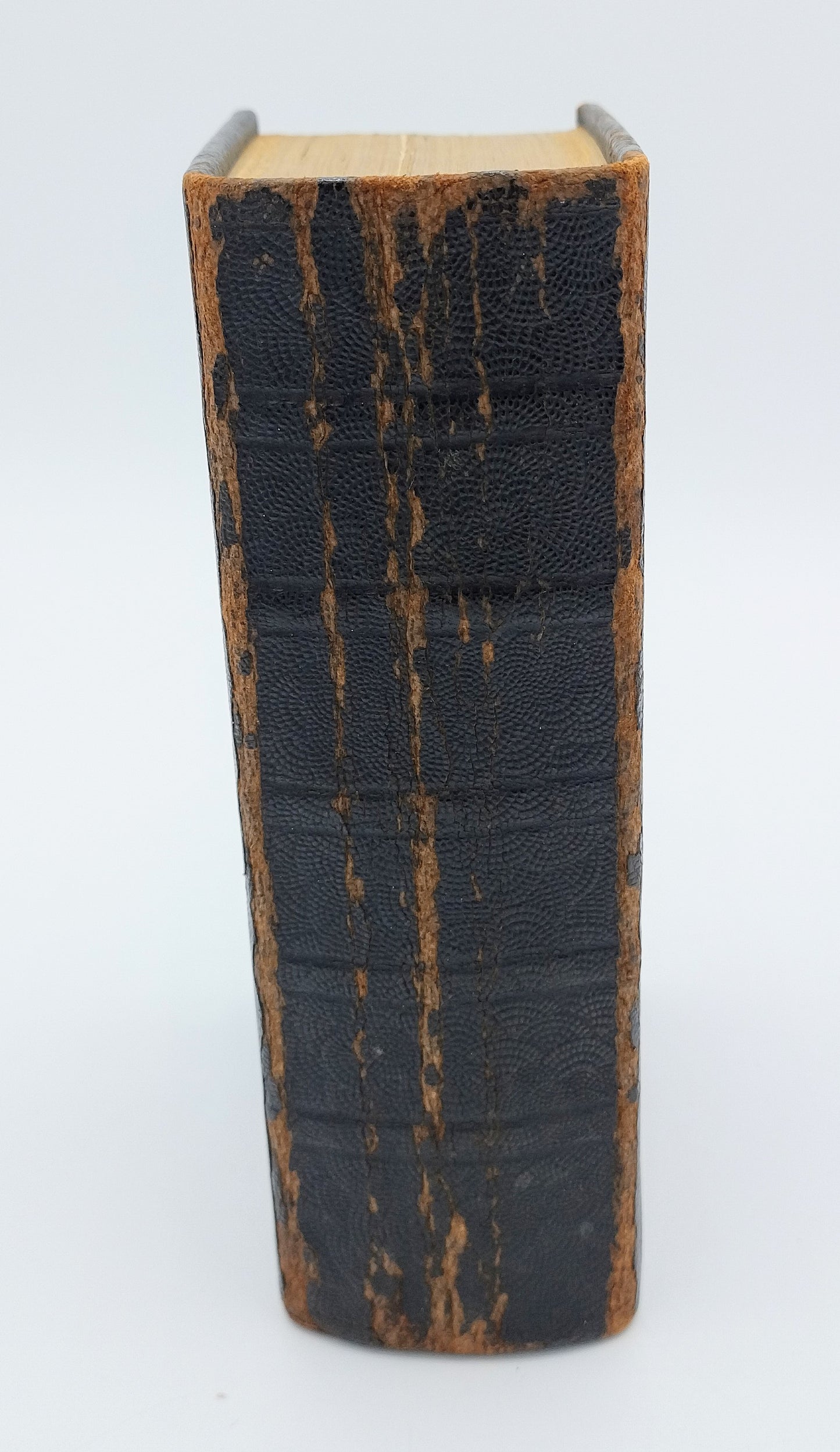 Bibel mit Silberverschluss, P. Rienstra, Sneek, 1818
