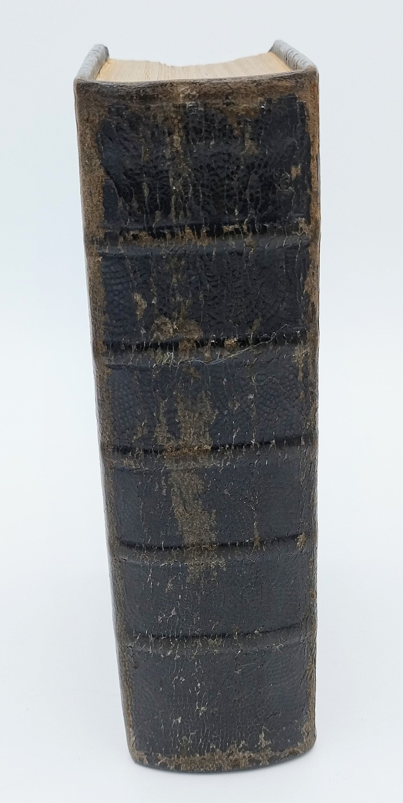 Bibel mit Silberverschluss, J.C. van de Ree, Schoonhoven, 1907