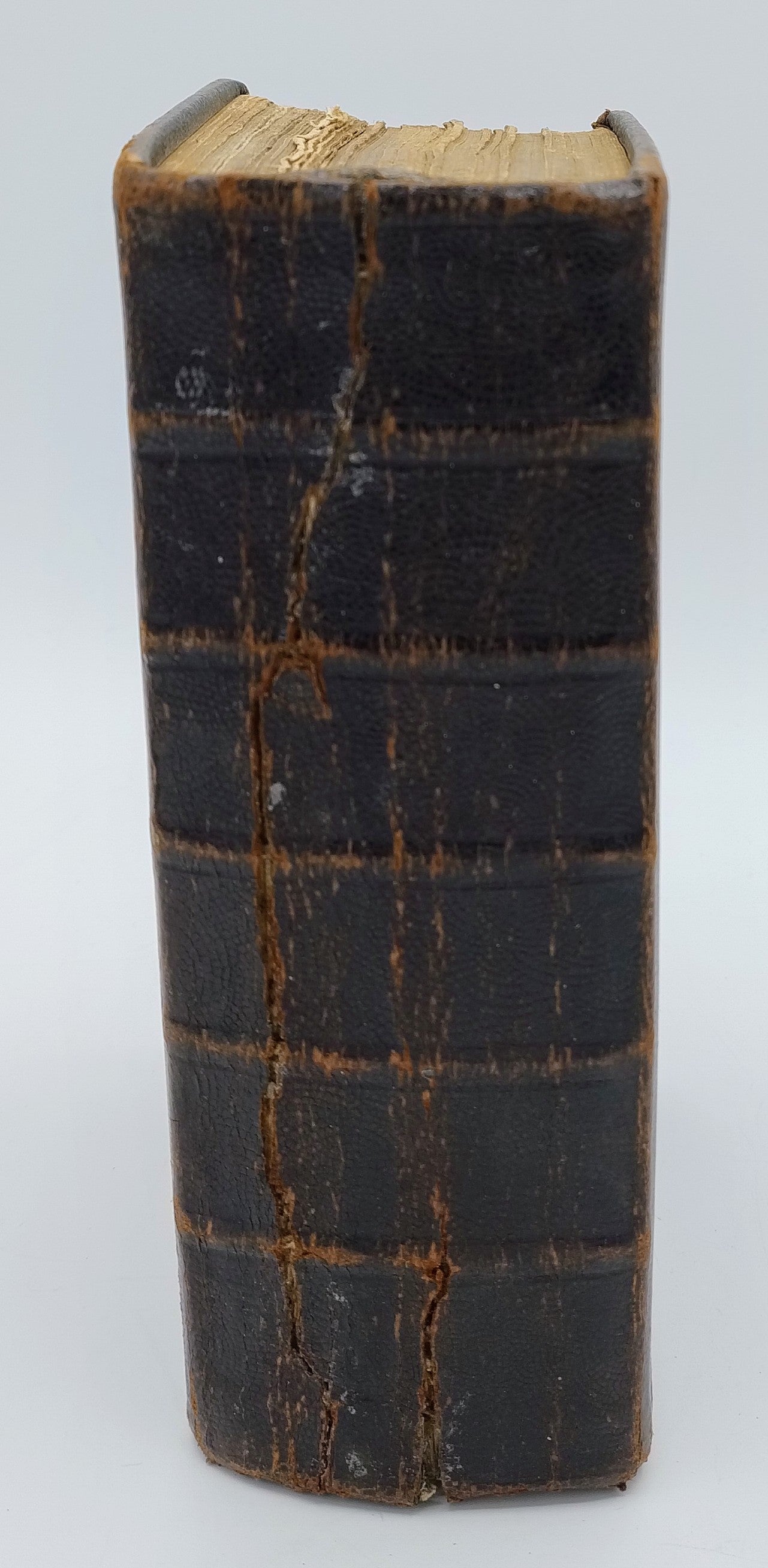 Bijbel met zilveren slot, 1875