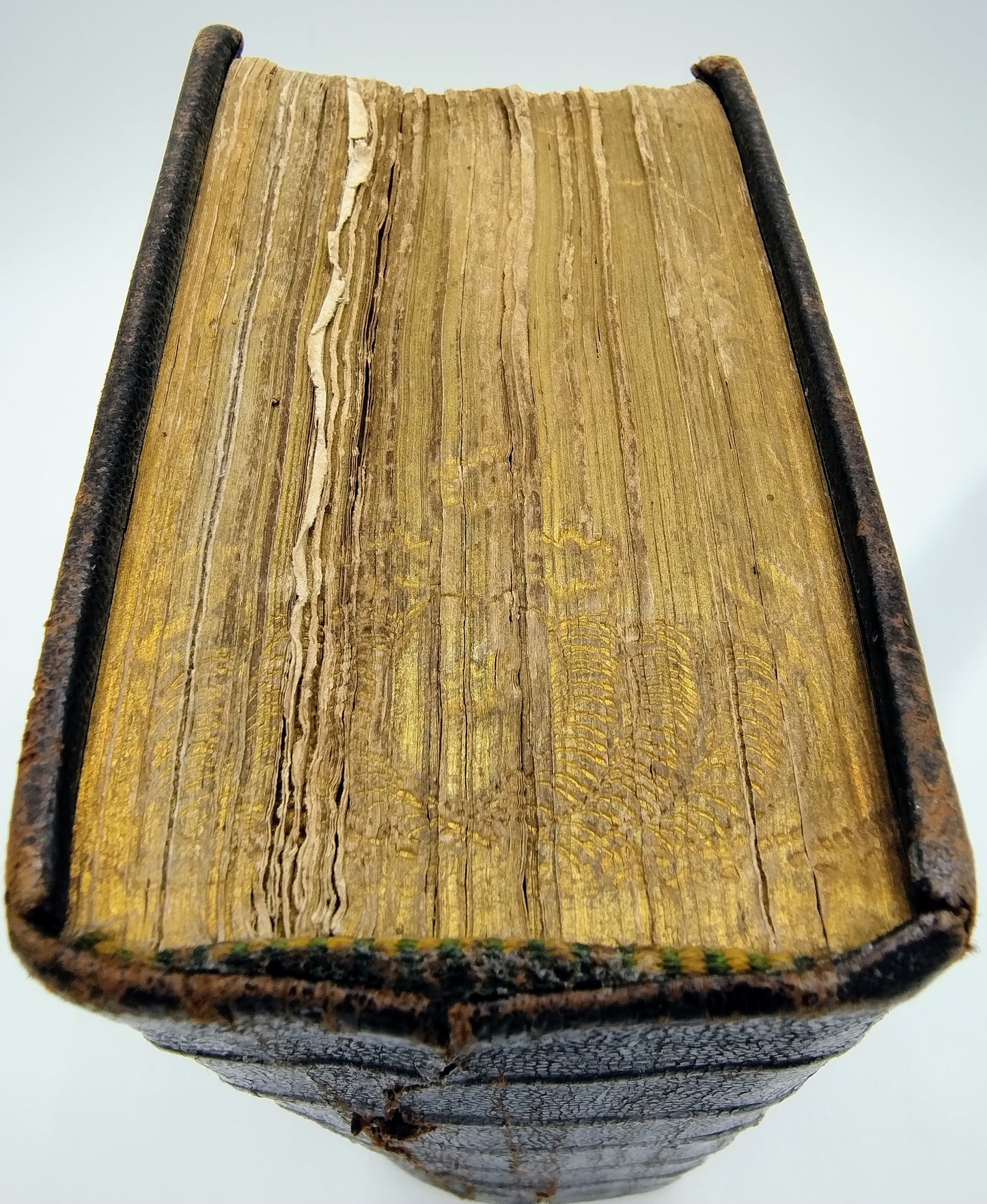 Bijbel met zilveren slot, 1875