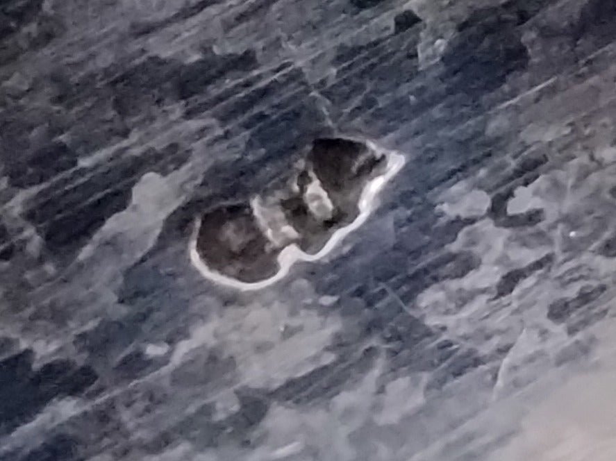 Kristallen schaal met zilveren hengsel, 19e eeuws.