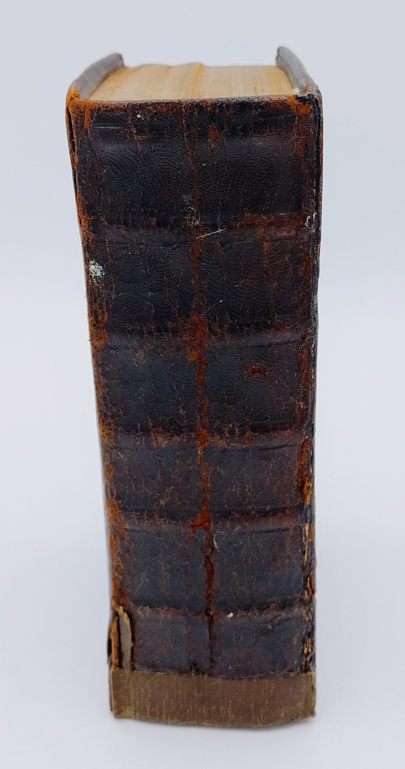 Bibel mit Silberverschlüssen, AJ Nobel, Schoonhoven, 1873