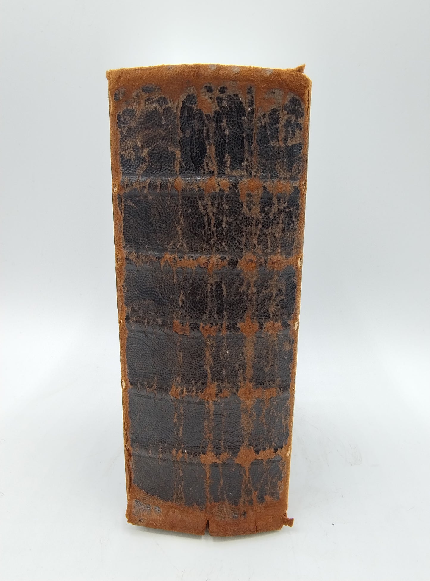 Bibel mit Silberverschlüssen, JJ Lazonder, Schoonhoven, 1868