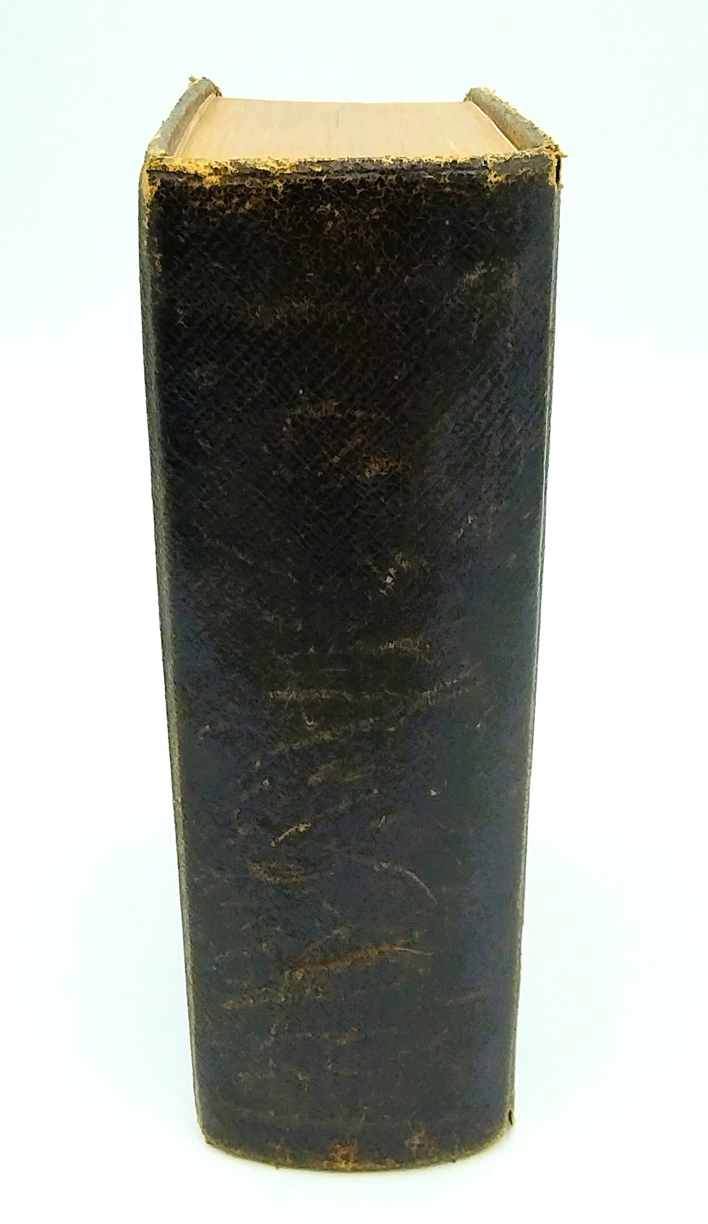 Bible with gold clasp, 1884