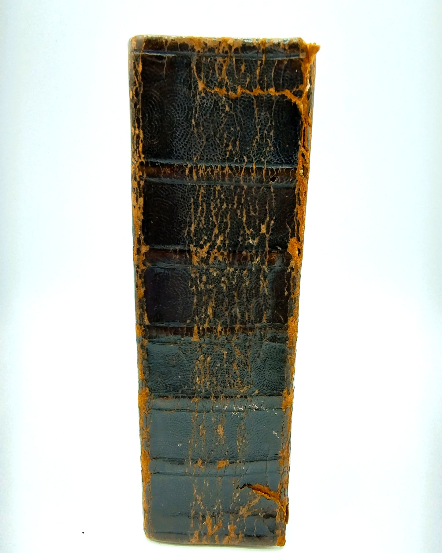Bibel mit Silberschloss, JJ Jonker aus Meppel, 19. Jahrhundert