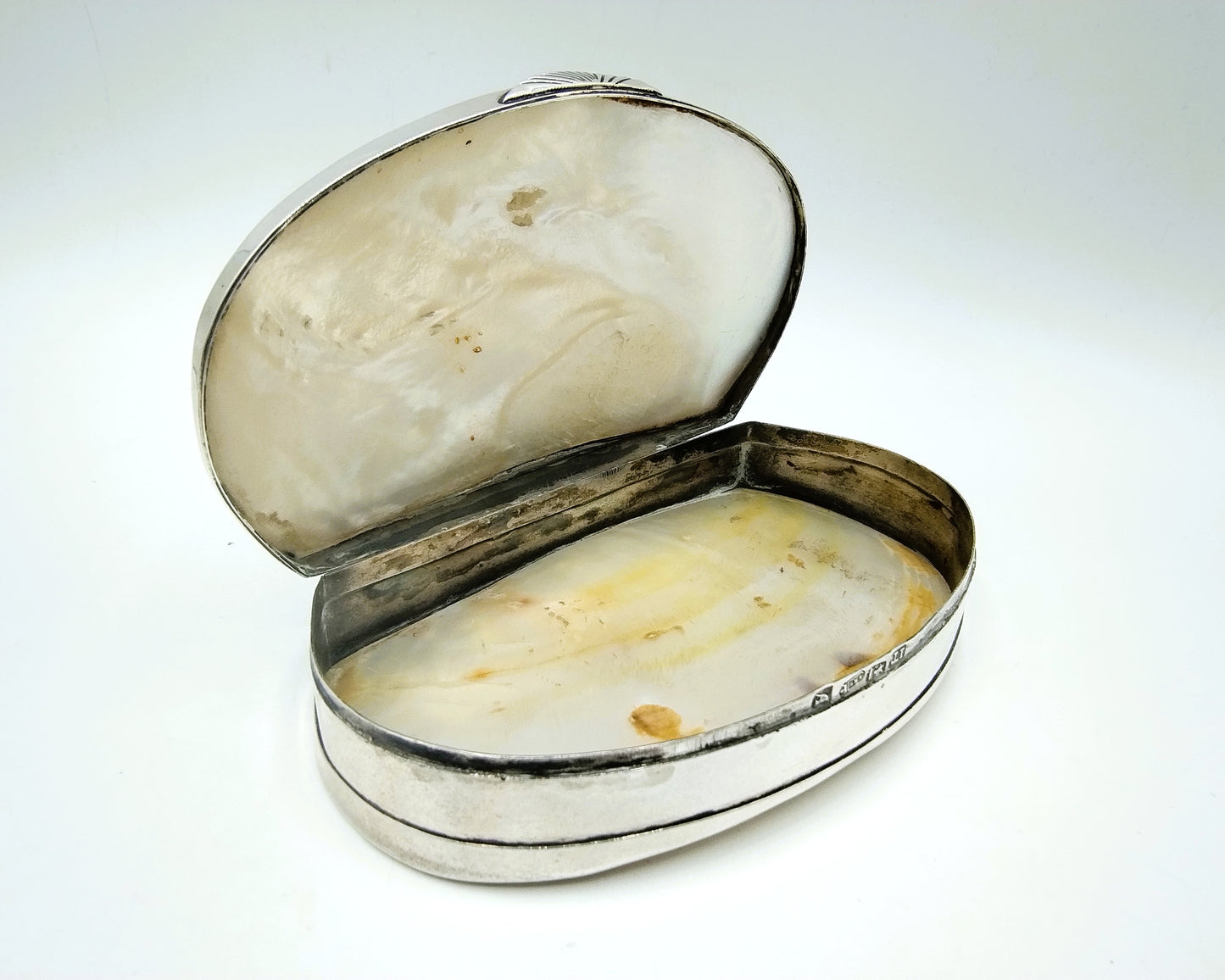 Silver tobacco box, The Hague, 19th century