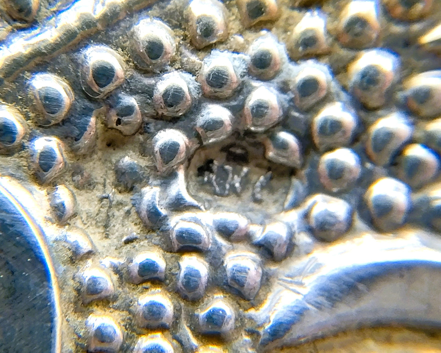 Silver Frisian ear iron, 19th century