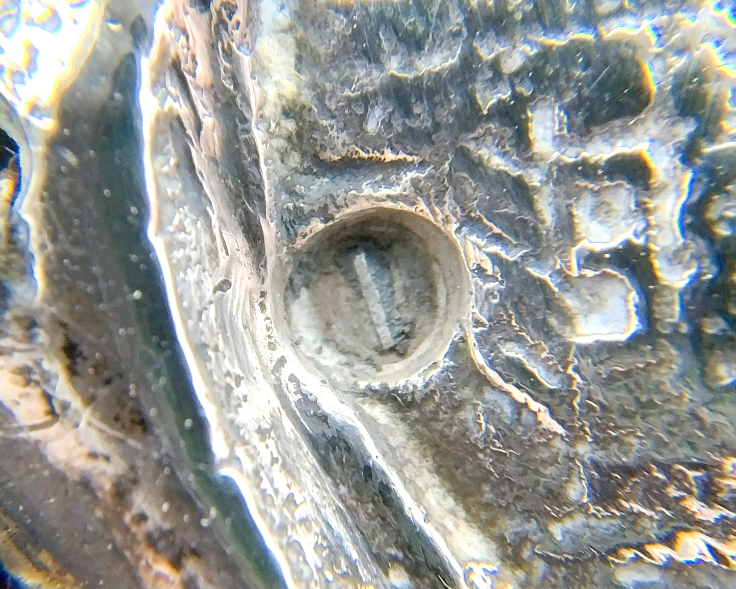 Silver bag clasp, Groningen, 1918