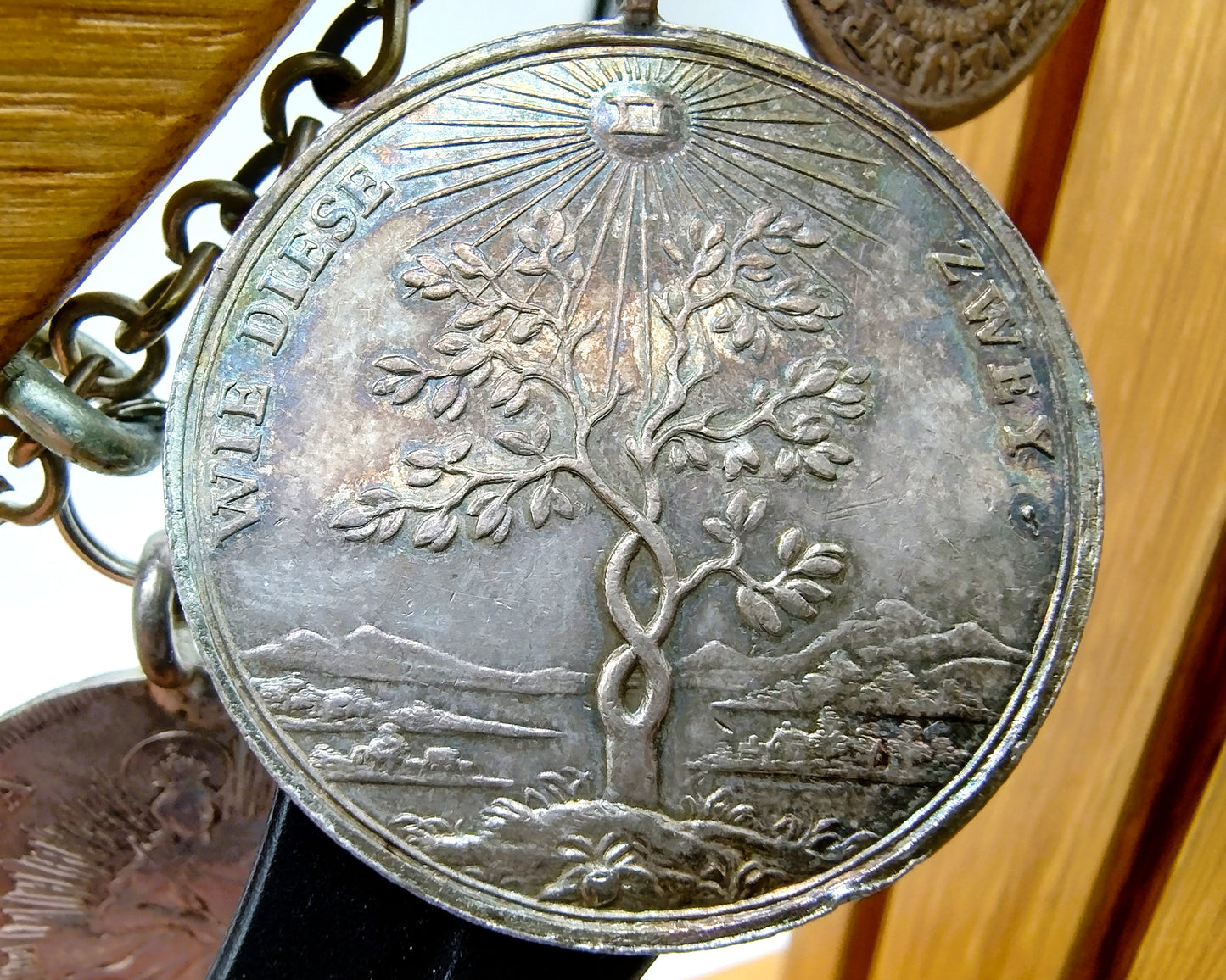 Display cabinet with 15 antique German coins, 16th to 19th century