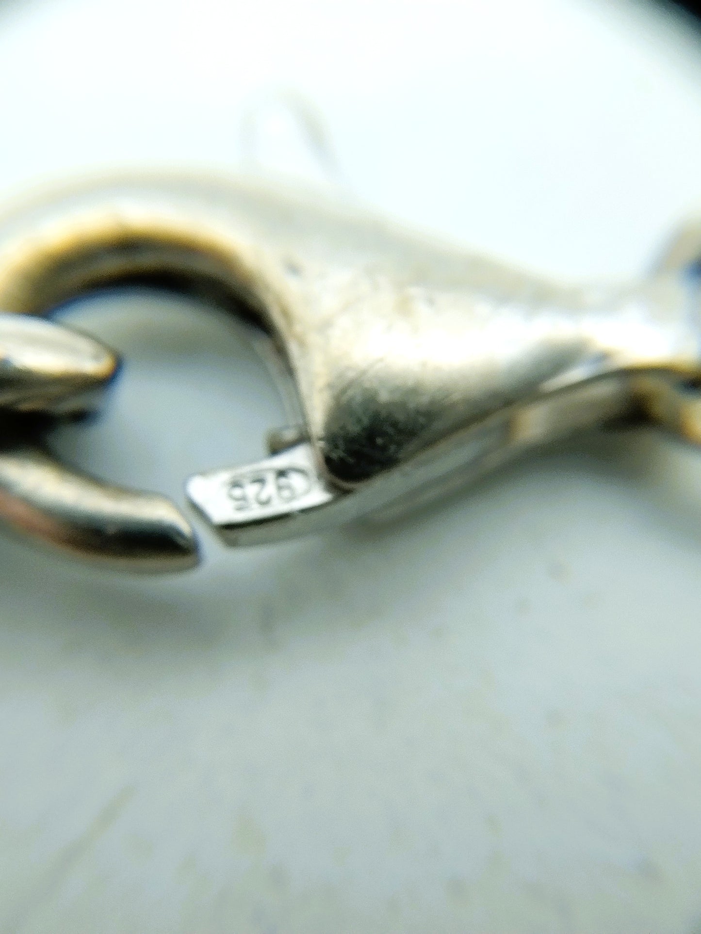 Silver chain + bracelet, snake motif.