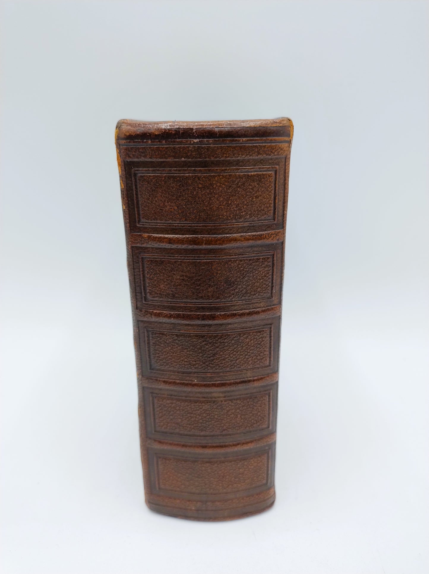 Bible with gold clip lock, 1884