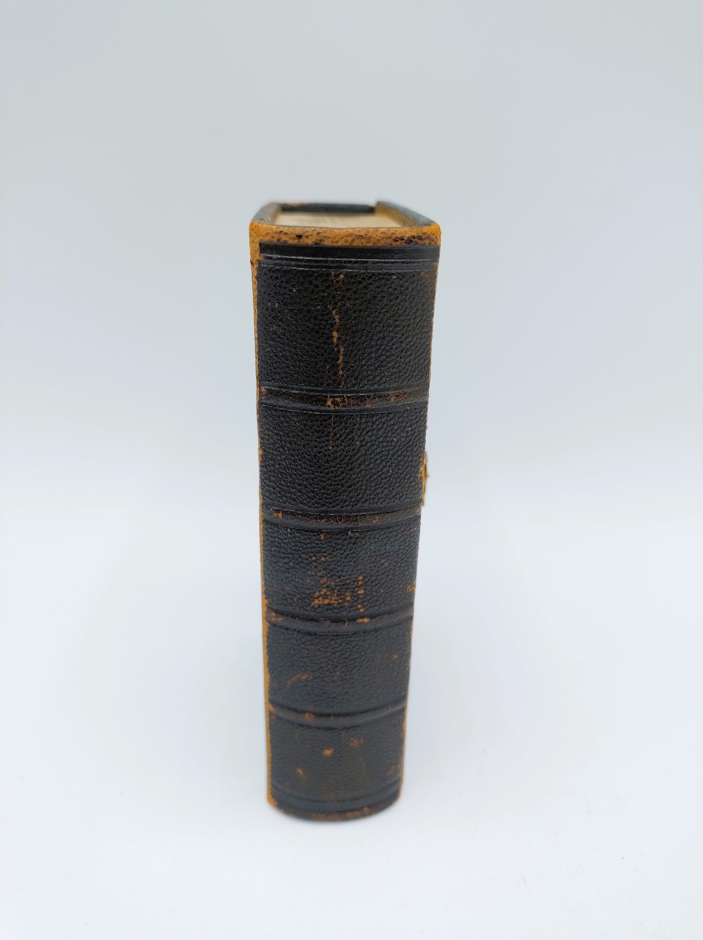Bible with gold clip lock, 1884