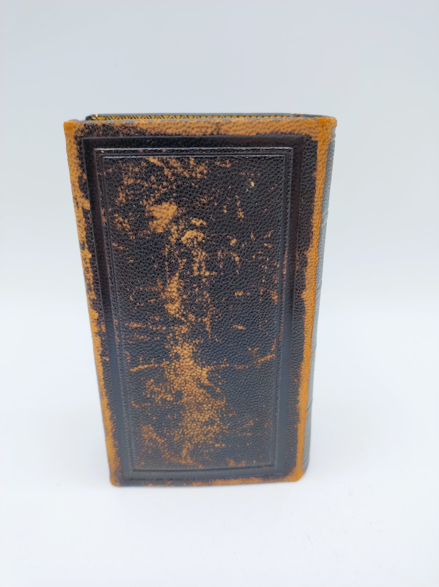 Bible with gold clip lock, 1884