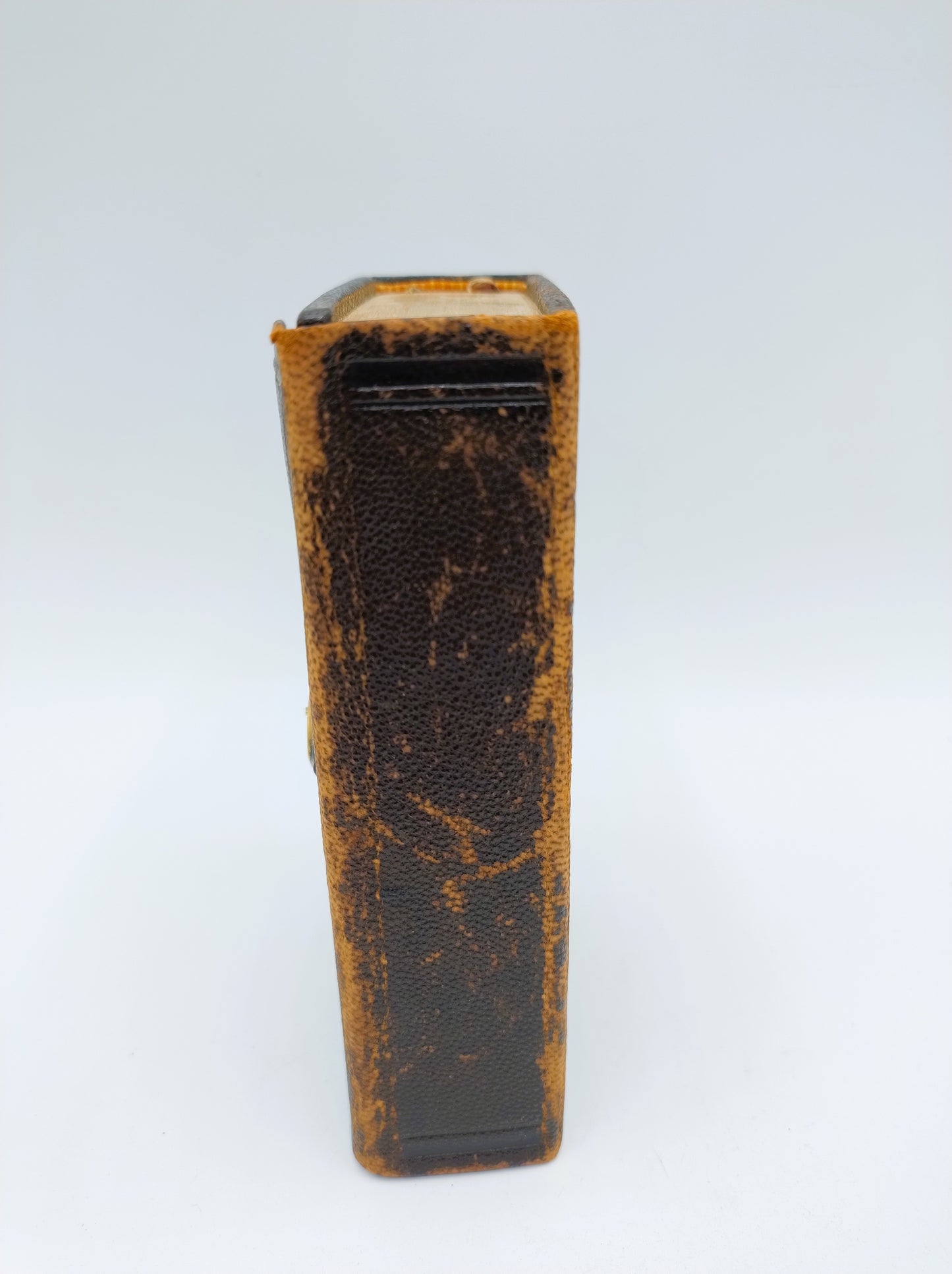 Bible with gold clip lock, 1884