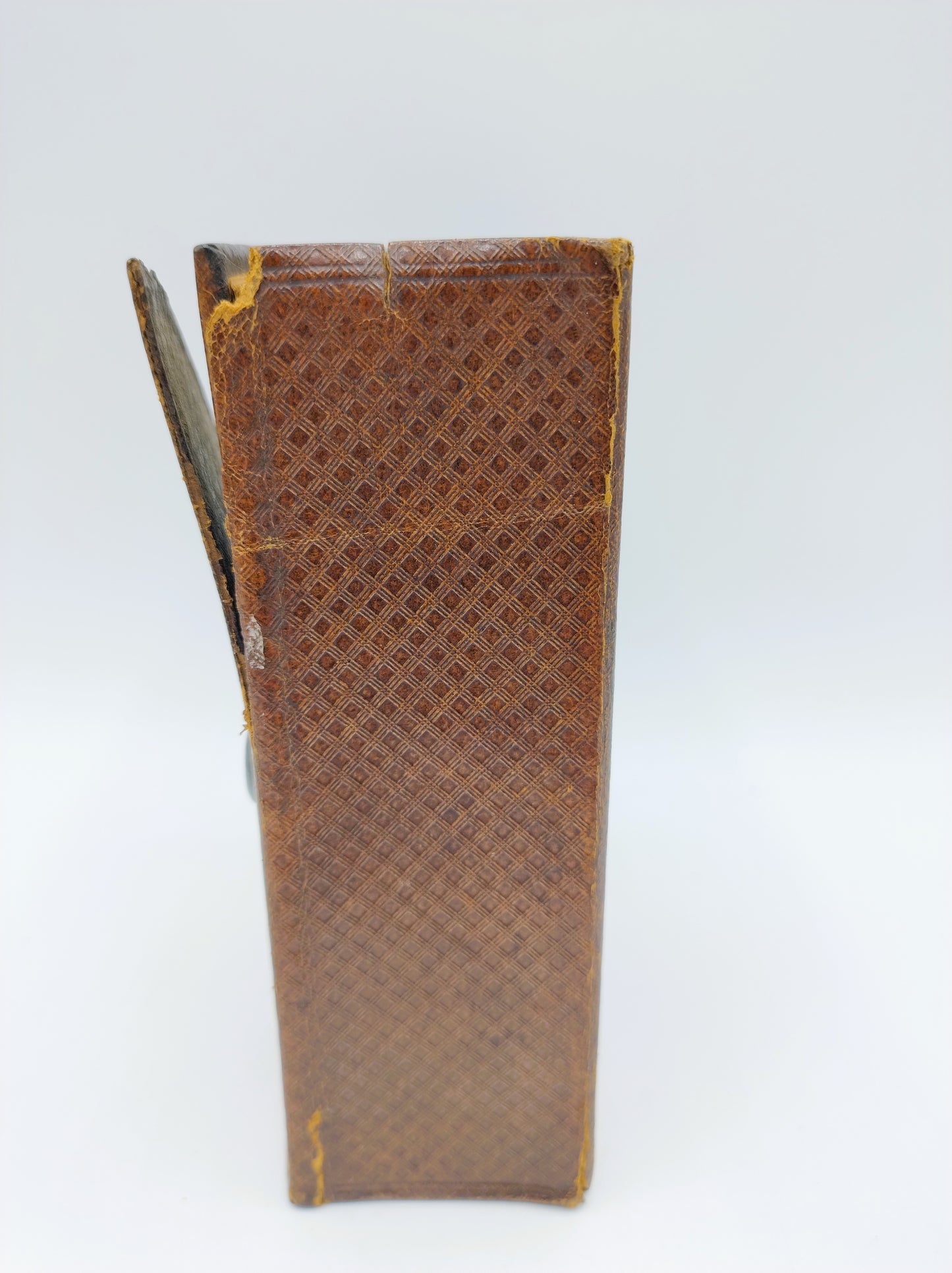 Bible with silver clasp, 1884