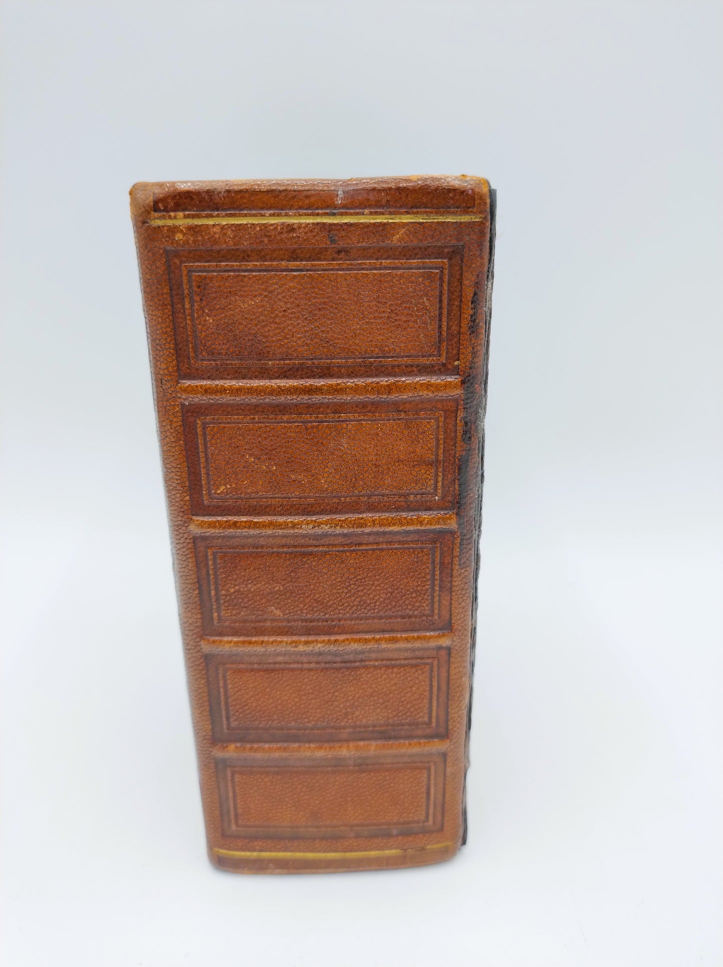 Bible with silver clasp, 1875
