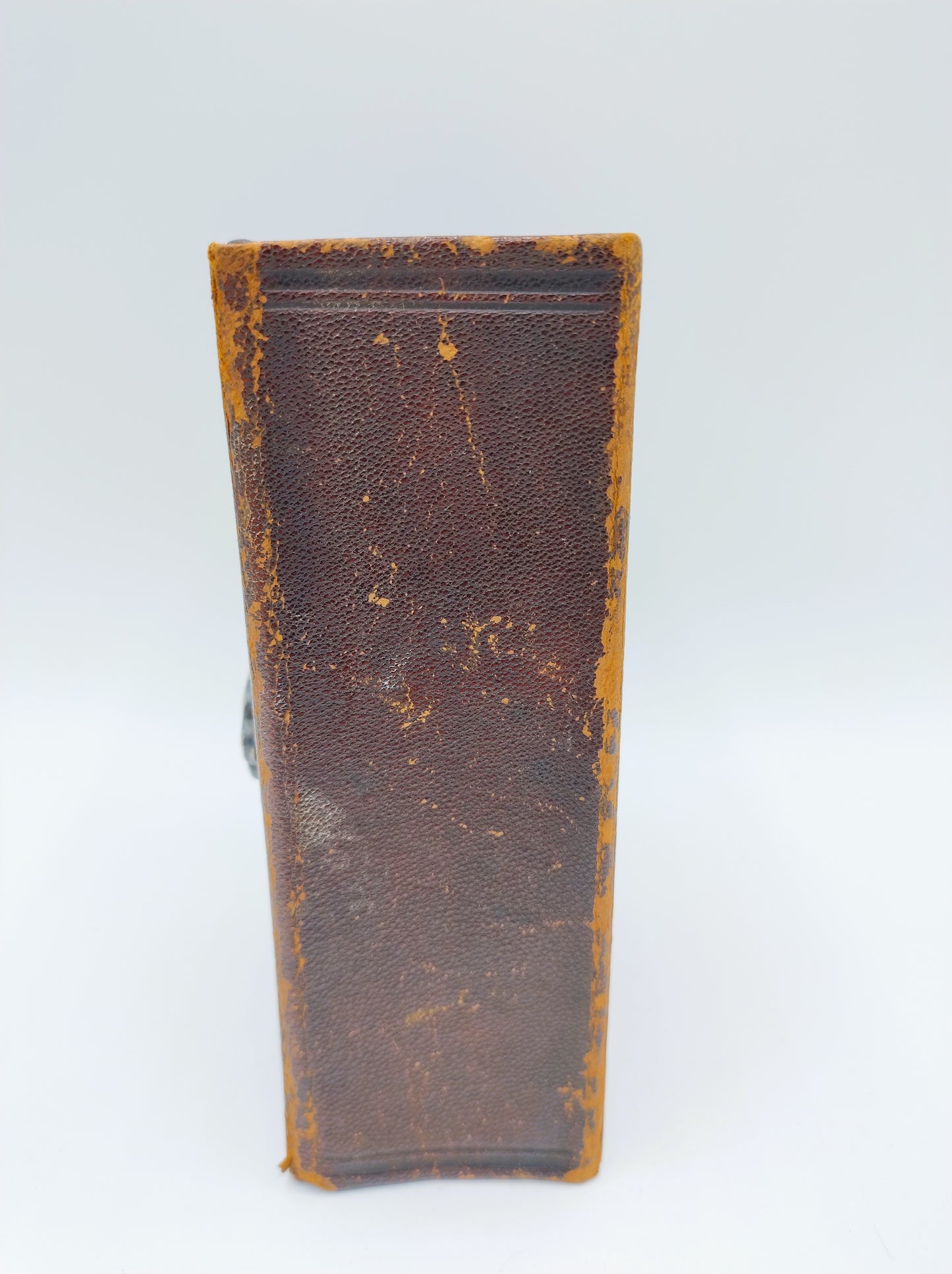 Bible with silver clasp, 1884