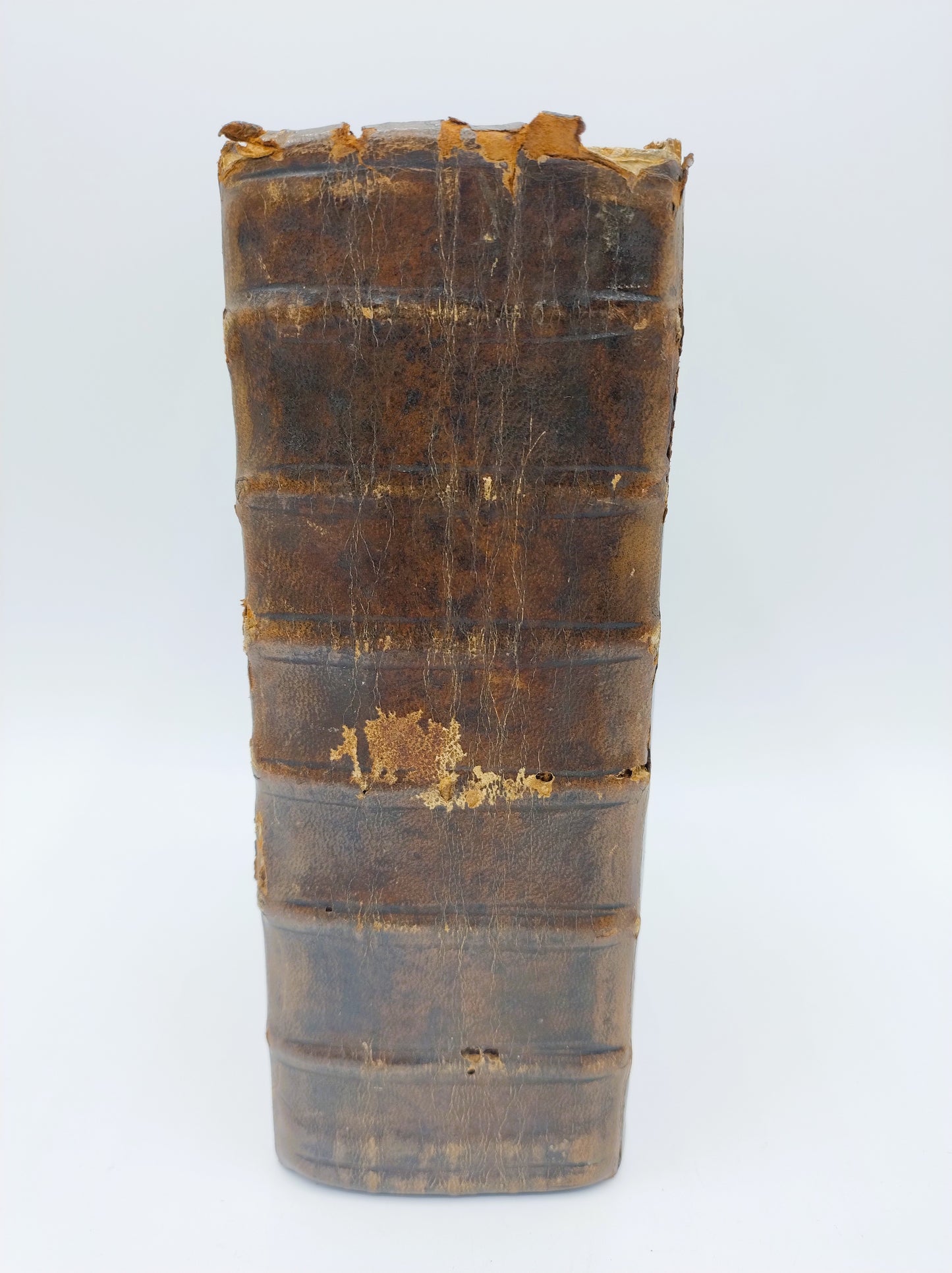 Bibel mit Silberverschlüssen, J. Peereboom, Leeuwarden, ca. 1760