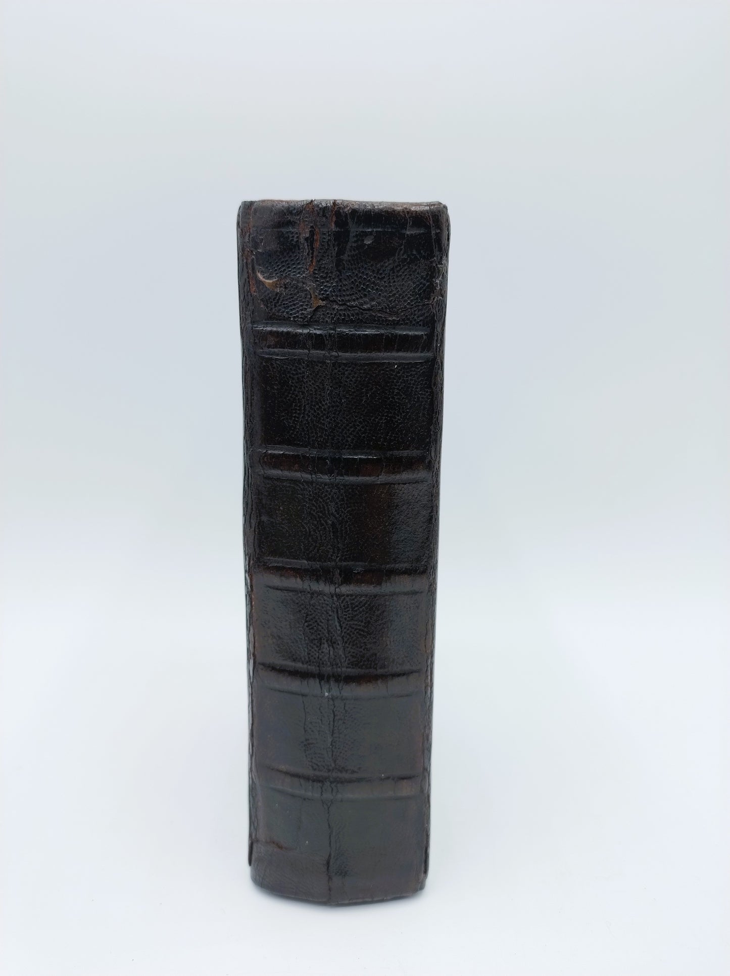 Bibel mit Silberverschlüssen, KJ Kanninga, Drachten, 1873