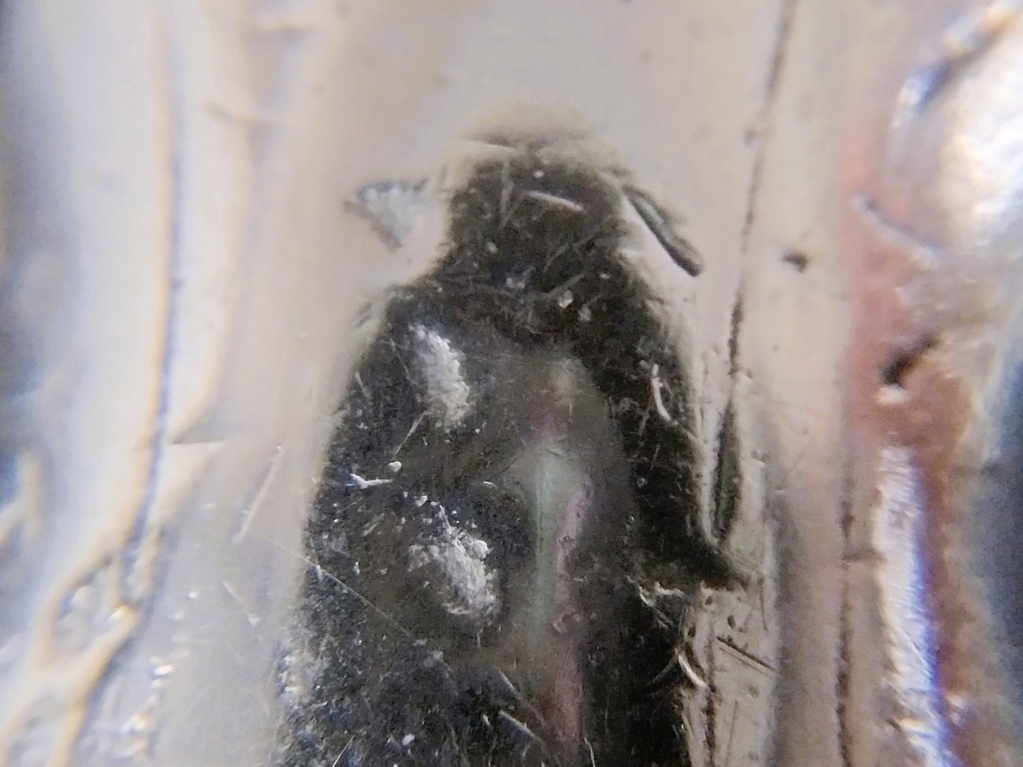 Zilveren mesheft met originele stalen lemmet, 18e eeuws