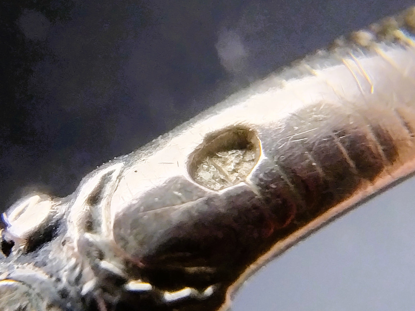 Gouden ring met granaten, 20 mm