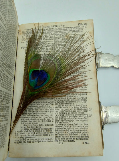 Bible with silver locks and fittings, L. Wijnants / Sappemeer, 18th century