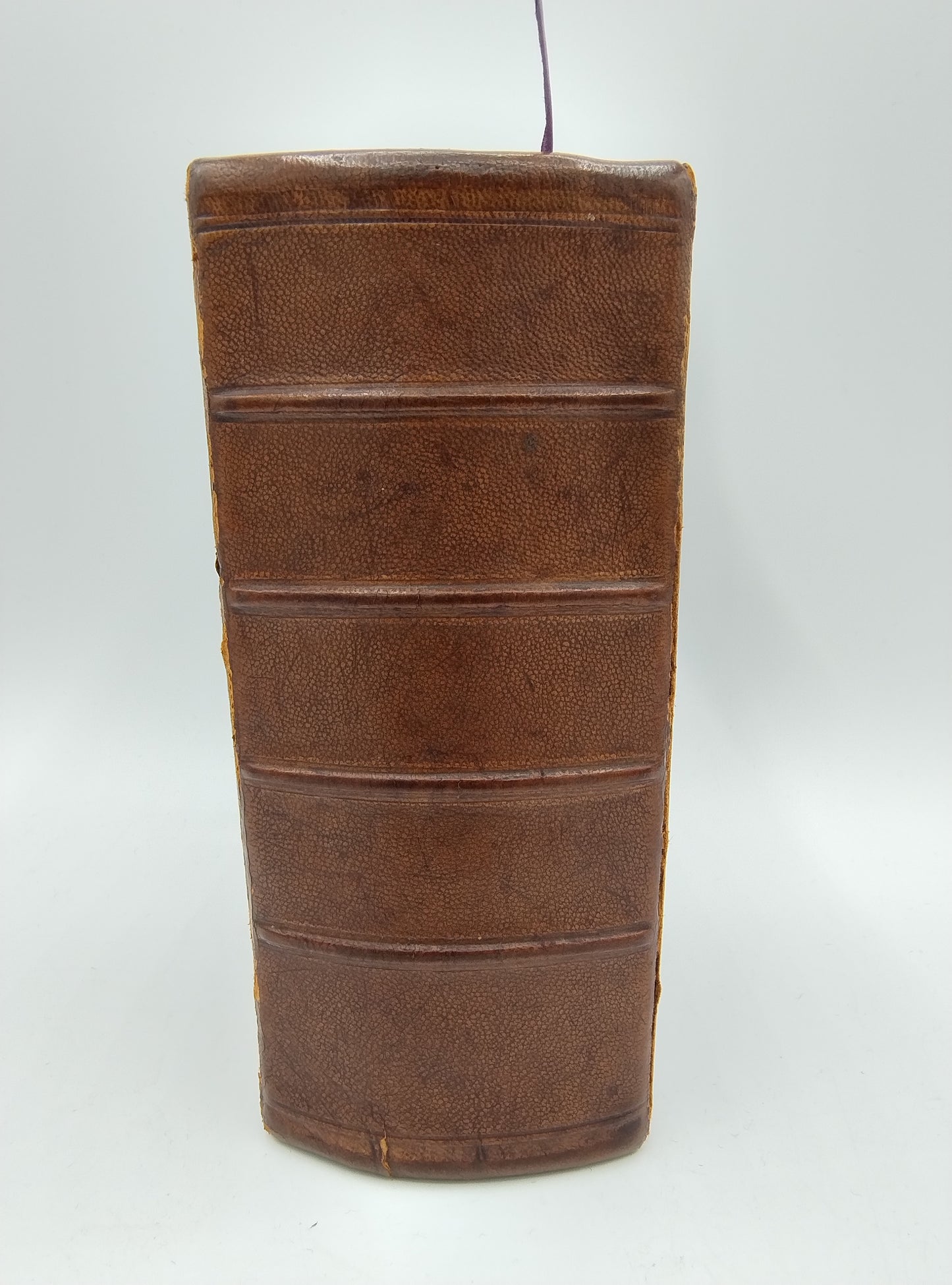 Bible with silver locks, Gebr. Roelfsema / Winsum, 19th century