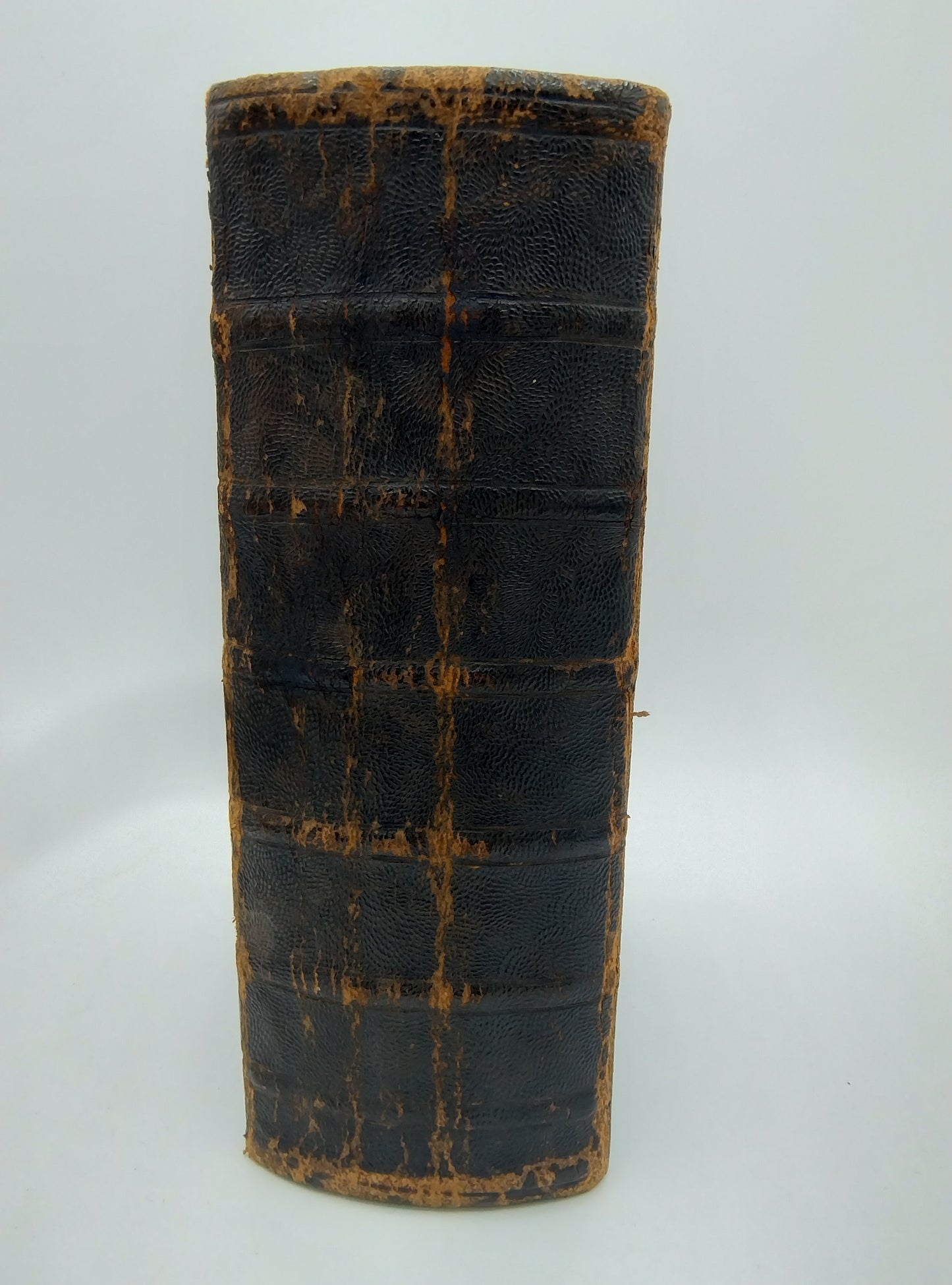 Bible with silver locks, 19th century