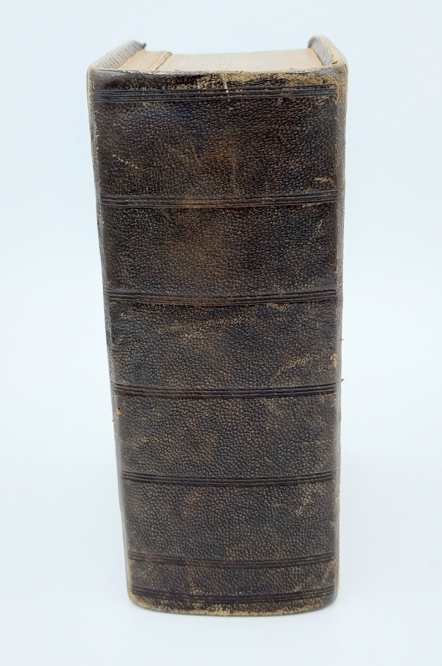 Bible with silver locks, 19th century