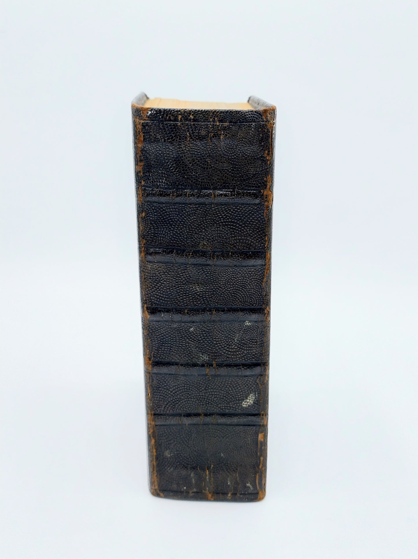 Bible with silver locks, J. Kooiman / Schoonhoven, 19th century