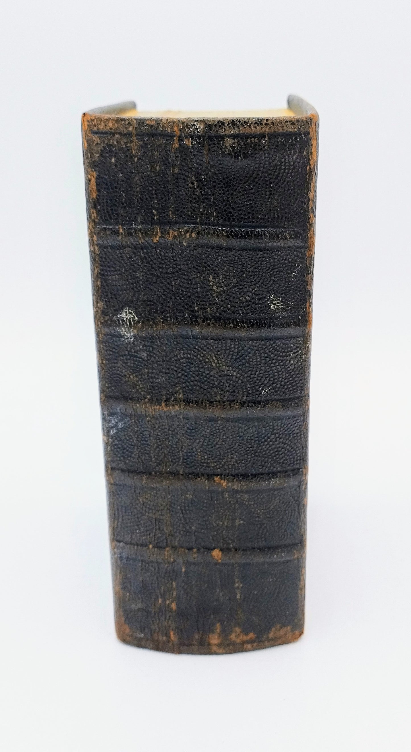 Bible with silver clasps, AO Drost / Staphorst, 20th century