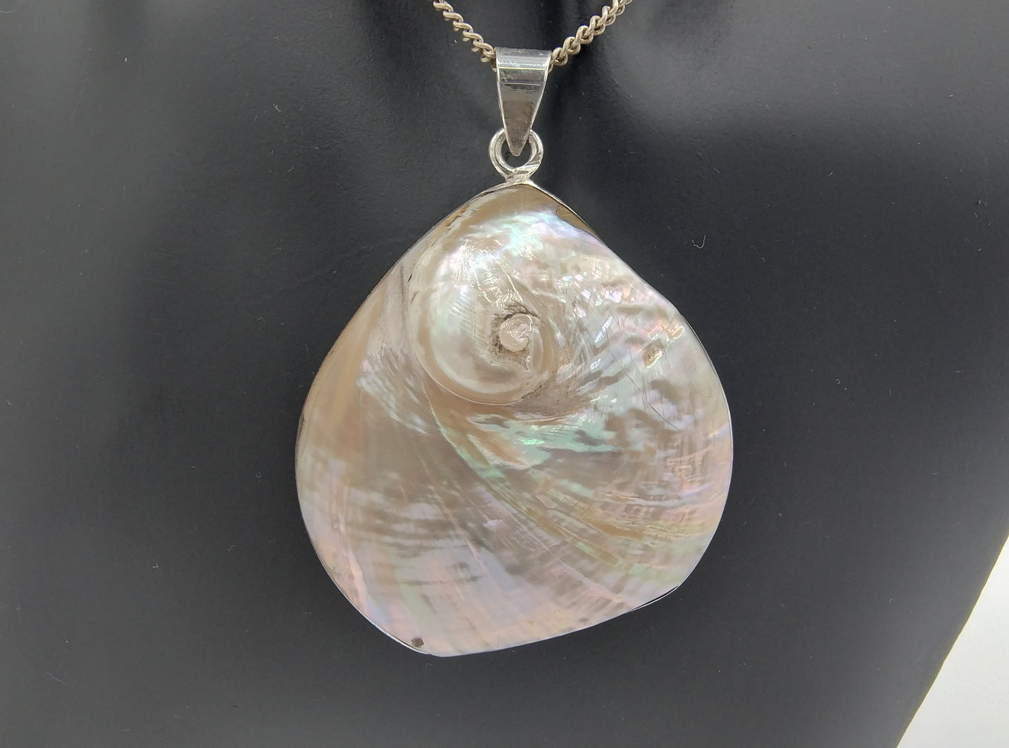 Silver pendant, shell