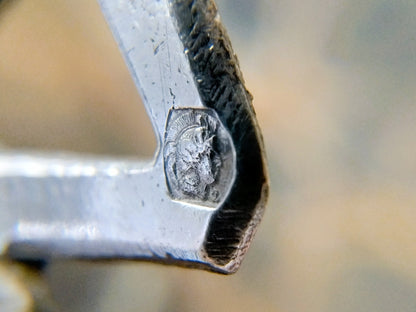 Bijbel met zilveren slot, Haarlem, 1809