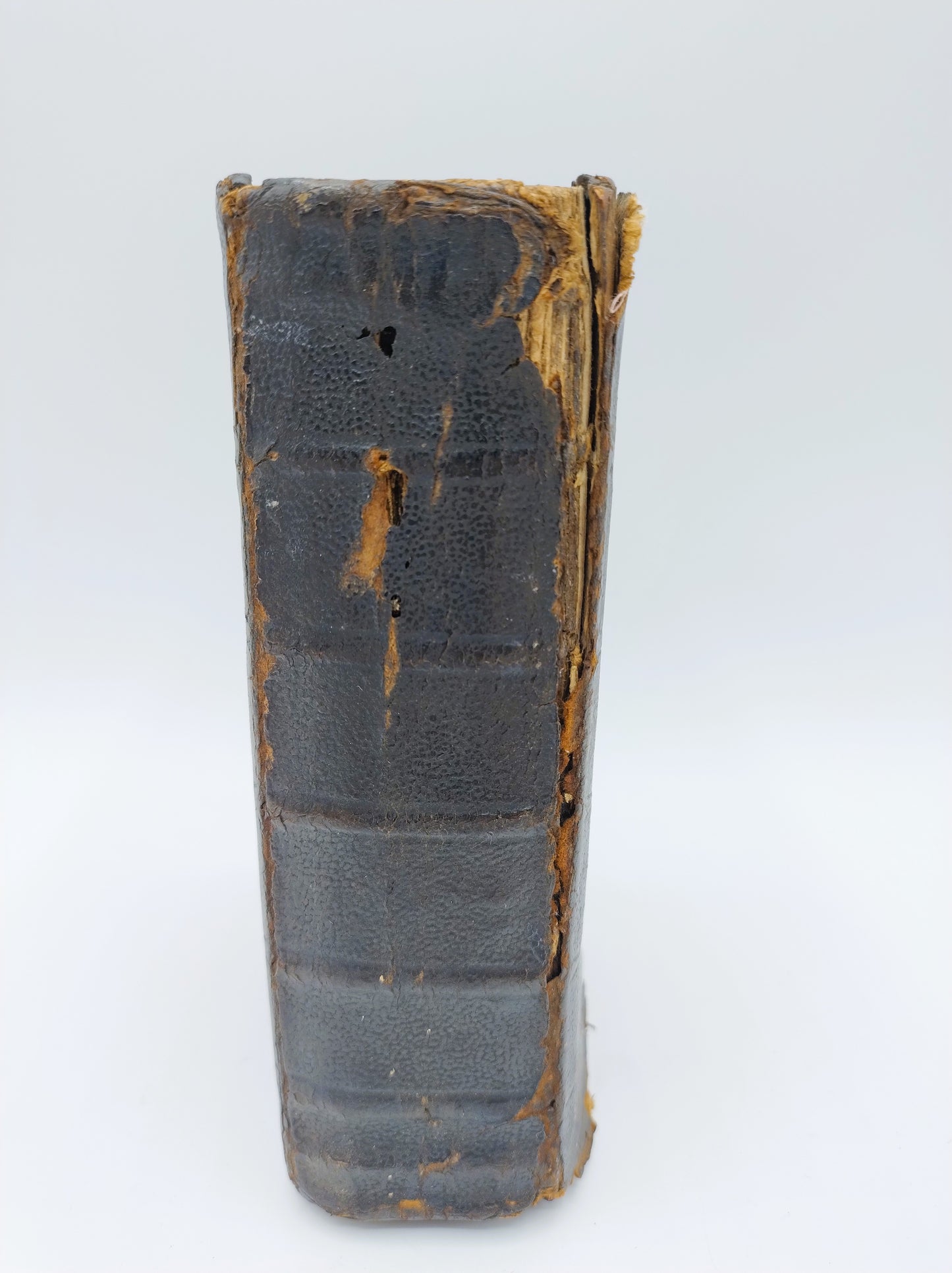 Antique Bible with silver clasp, Dordrecht, 1783