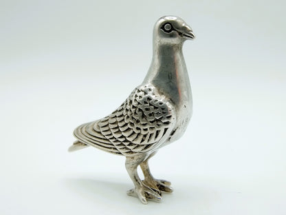 Silver miniature pigeon