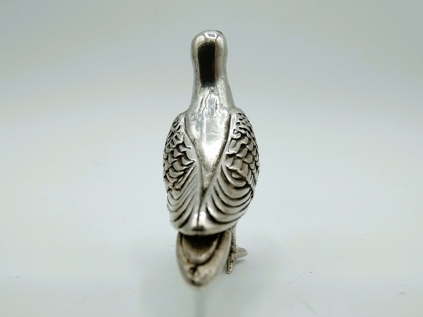 Silver miniature pigeon