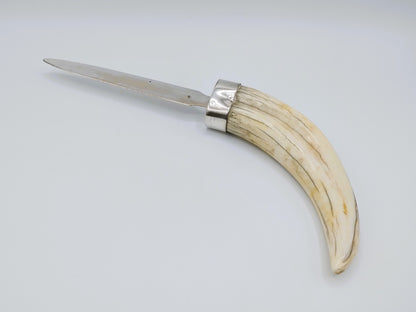Zilveren brievenopener met als heft een slagtand van een wrattenzwijn.