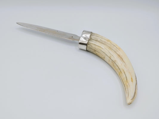 Zilveren brievenopener met als heft een slagtand van een wrattenzwijn.