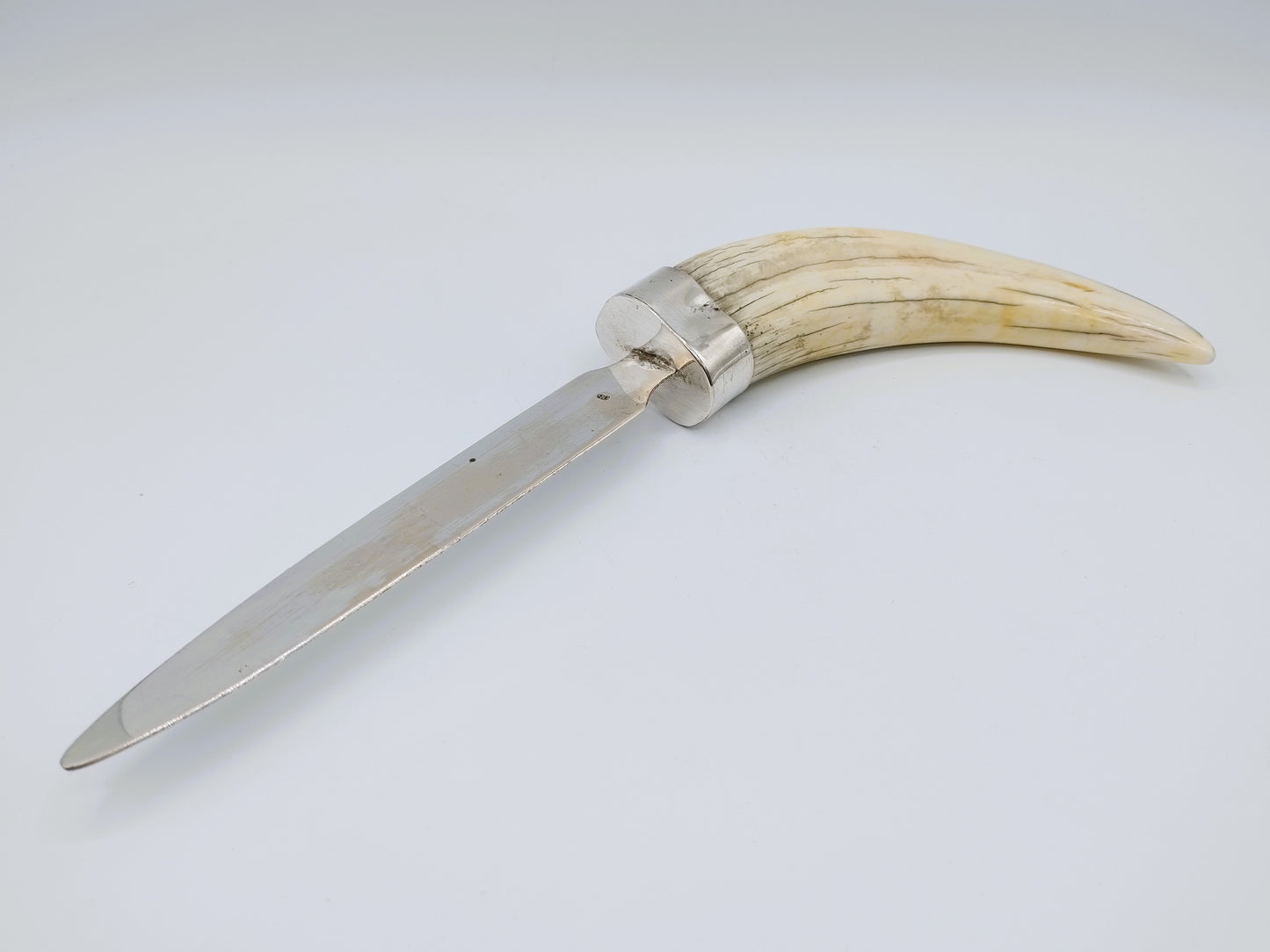 Zilveren brievenopener met als heft een slagtand van een wrattenzwijn.