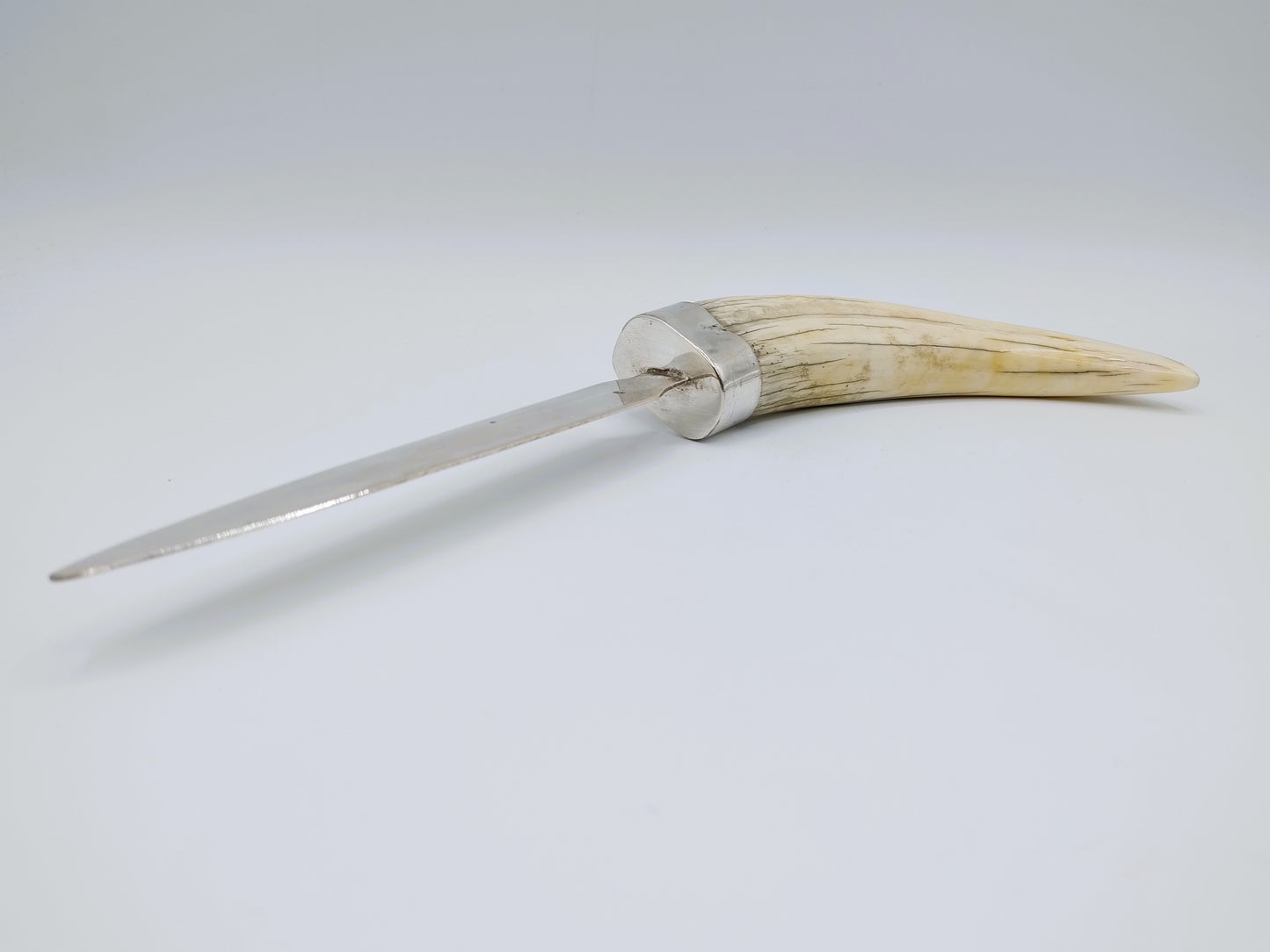 Zilveren brievenopener met als heft een slagtand van een wrattenzwijn.