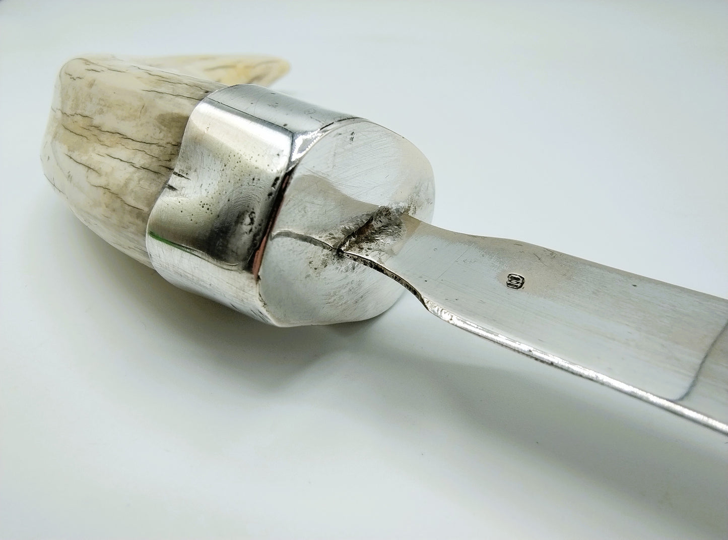 Zilveren brievenopener met als heft een slagtand van een wrattenzwijn.