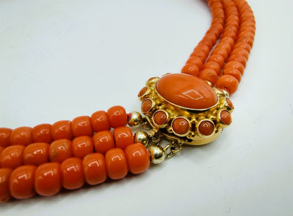 Rote Korallenkette mit Goldverschluss, Amsterdam, 40-44 cm