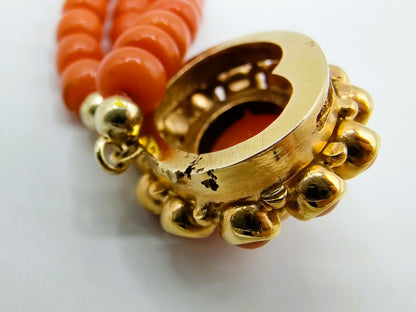 Rote Korallenkette mit Goldverschluss, Amsterdam, 40-44 cm