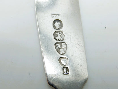 Silver salt or mustard spoon, T. Sewell I, Newcastle, 1850