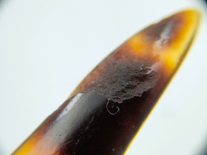 Zilveren suikerschepje met schilpad heft, 18e eeuws