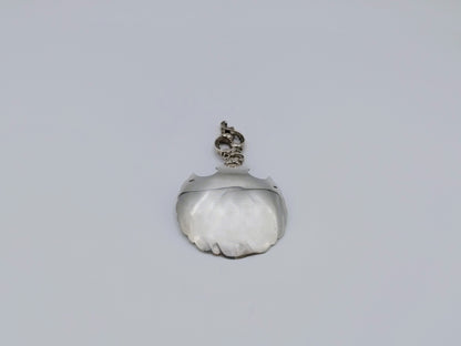Silver sugar spoon, J.M. van Kempen Company, Voorschoten