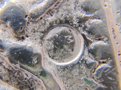 Antieke zilveren broekstukken, Zeeuwse streekdracht, Walcheren, ca. 1900