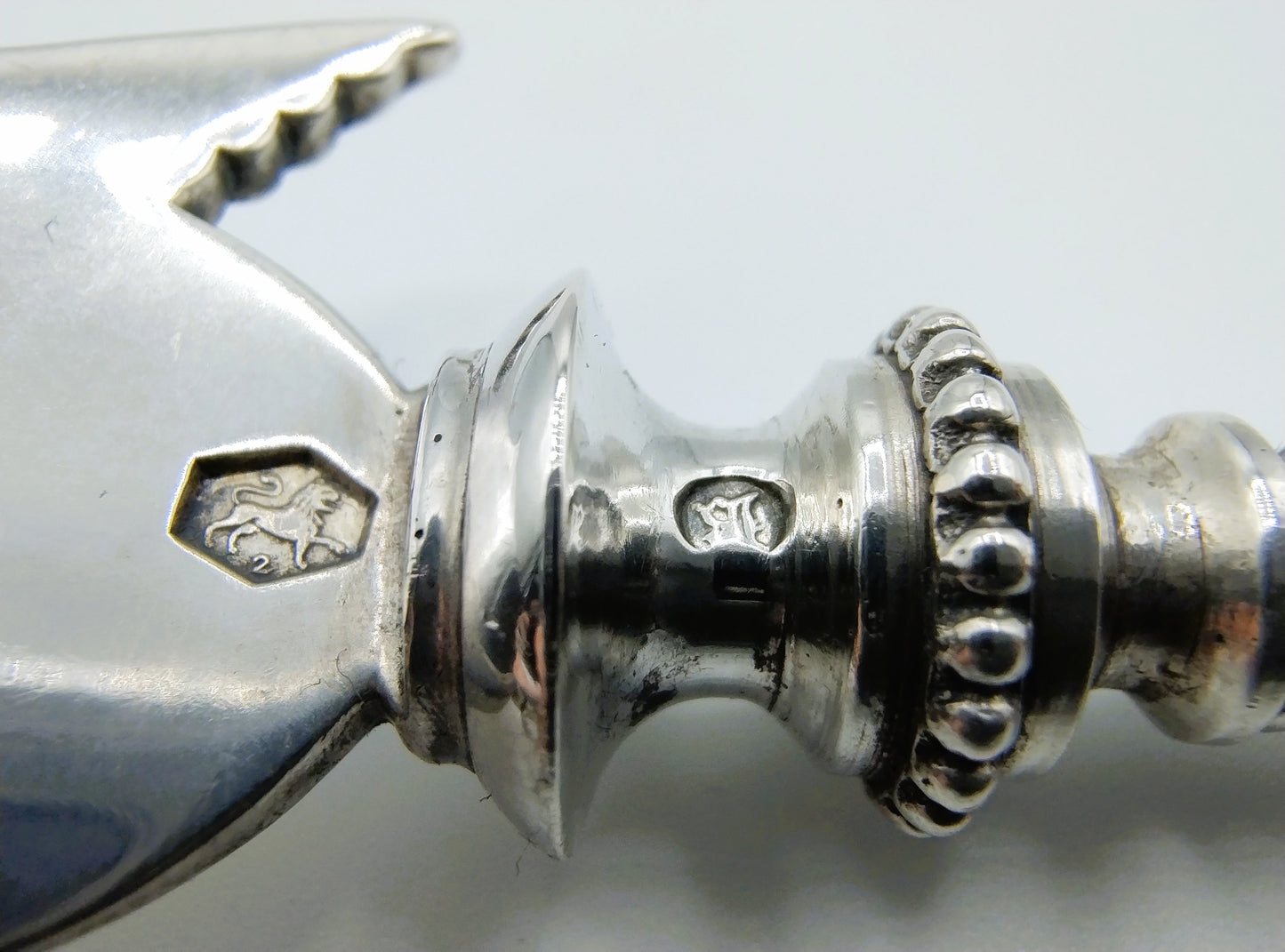 Zilveren visschep, Fa. J.M. van Kempen, Voorschoten, 1901